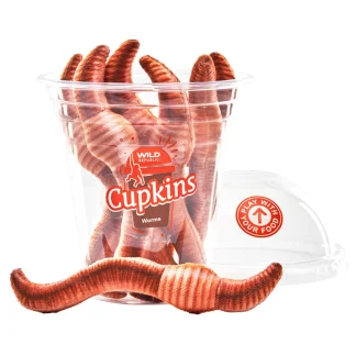 Wild Republic Cupkins*Cupkins Worms