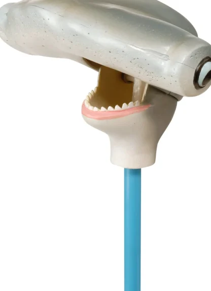 Wild Republic Pincher*Hammerhead Shark Pincher