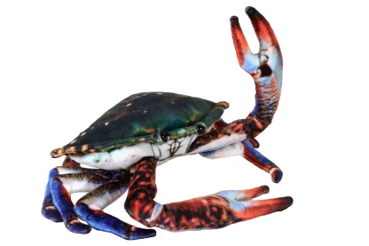 Wild Republic Living Series*Living Earth Crab Stuffed Animal - 9"